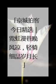 京城拍客今日精选｜霓虹漫巷晚风凉，轻骑细品岁月长