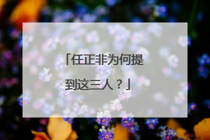 任正非为何提到这三人？