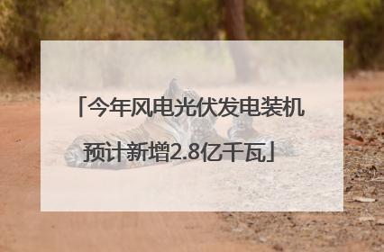 今年风电光伏发电装机预计新增2.8亿千瓦