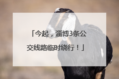 今起，淄博3条公交线路临时绕行！