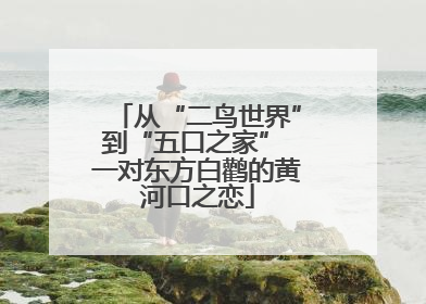 从“二鸟世界”到“五口之家” 一对东方白鹳的黄河口之恋