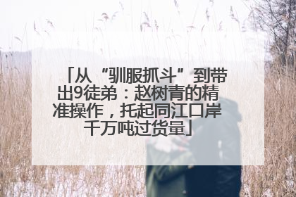 从“驯服抓斗”到带出9徒弟：赵树青的精准操作，托起同江口岸千万吨过货量