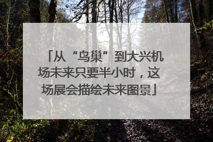 从“鸟巢”到大兴机场未来只要半小时，这场展会描绘未来图景