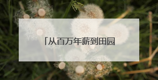 从百万年薪到田园逐梦：90后舞蹈女孩在荆门掇刀书写返乡创业传奇