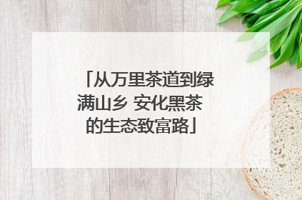从万里茶道到绿满山乡 安化黑茶的生态致富路
