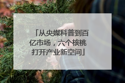 从央媒科普到百亿市场，六个核桃打开产业新空间
