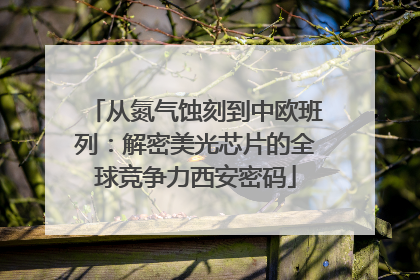 从氮气蚀刻到中欧班列：解密美光芯片的全球竞争力西安密码