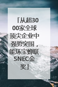 从超3000家全球顶尖企业中强势突围，能环宝蝉联SNEC金奖
