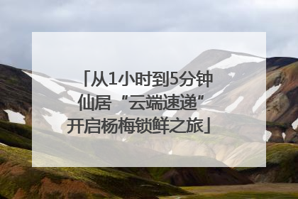 从1小时到5分钟 仙居“云端速递”开启杨梅锁鲜之旅