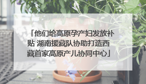 他们给高原孕产妇发放补贴 湖南援藏队协助打造西藏首家高原产儿协同中心