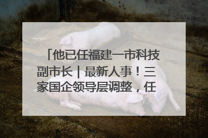 他已任福建一市科技副市长｜最新人事！三家国企领导层调整，任免多位政法系统干部