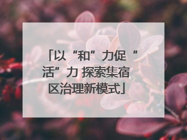 以“和”力促“活”力 探索集宿区治理新模式