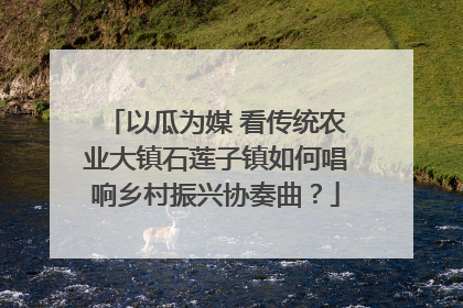以瓜为媒 看传统农业大镇石莲子镇如何唱响乡村振兴协奏曲？