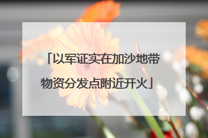 以军证实在加沙地带物资分发点附近开火