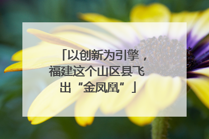 以创新为引擎，福建这个山区县飞出“金凤凰”