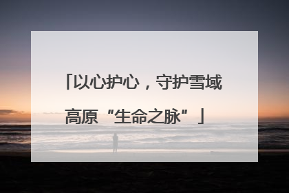 以心护心，守护雪域高原“生命之脉”