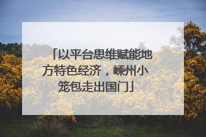 以平台思维赋能地方特色经济，嵊州小笼包走出国门
