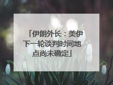 伊朗外长：美伊下一轮谈判时间地点尚未确定