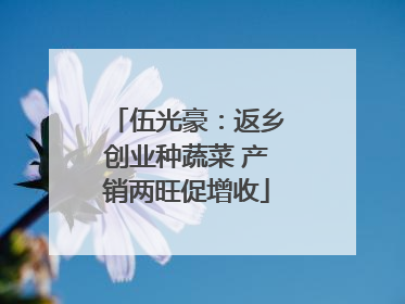 伍光豪：返乡创业种蔬菜 产销两旺促增收