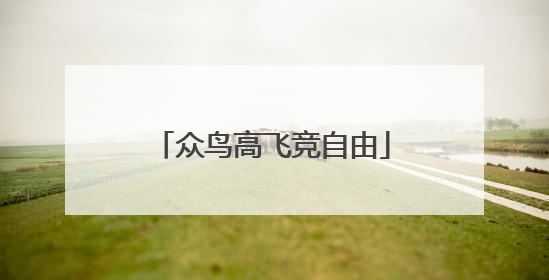 众鸟高飞竞自由