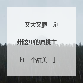 又大又脆！荆州这里的夏桃主打一个甜美！