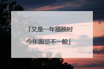又是一年插秧时 今年图景不一般