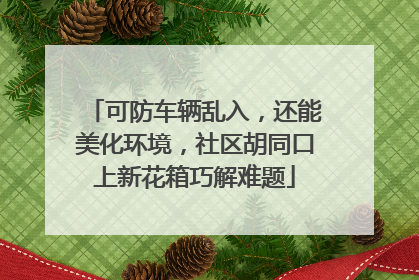可防车辆乱入，还能美化环境，社区胡同口上新花箱巧解难题