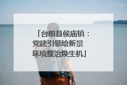 台前县侯庙镇：党建引领绘新景 环境整治焕生机