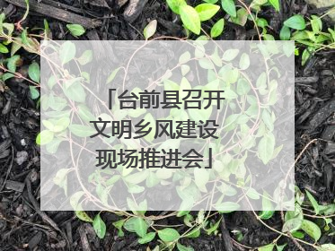 台前县召开文明乡风建设现场推进会