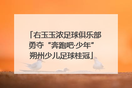 右玉玉浓足球俱乐部勇夺“奔跑吧·少年”朔州少儿足球桂冠