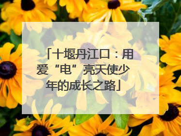 十堰丹江口：用爱“电”亮天使少年的成长之路