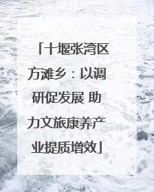 十堰张湾区方滩乡：以调研促发展 助力文旅康养产业提质增效
