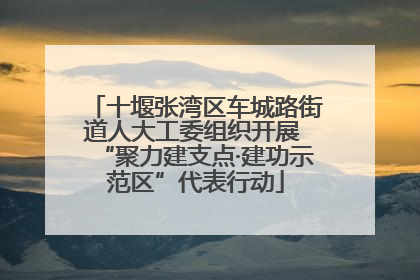 十堰张湾区车城路街道人大工委组织开展 “聚力建支点·建功示范区”代表行动