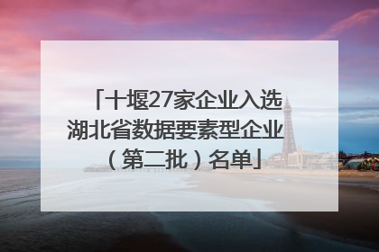 十堰27家企业入选湖北省数据要素型企业（第二批）名单