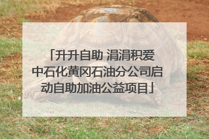 升升自助 涓涓积爱 中石化黄冈石油分公司启动自助加油公益项目