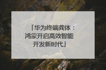 华为终端龚体：鸿蒙开启高效智能开发新时代