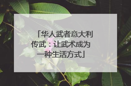 华人武者意大利传武：让武术成为一种生活方式