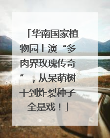 华南国家植物园上演“多肉界玫瑰传奇”，从呆萌树干到炸裂种子全是戏！