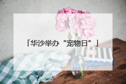 华沙举办“宠物日”