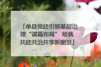 单县党建引领基层治理“谋篇布局” 绘就共建共治共享新图景