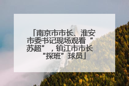 南京市市长、淮安市委书记现场观看“苏超”，镇江市市长“探班”球员