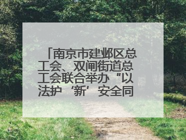 南京市建邺区总工会、双闸街道总工会联合举办“以法护‘新’安全同行”暨劳模宣讲进工地服务活动