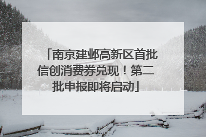 南京建邺高新区首批信创消费券兑现！第二批申报即将启动