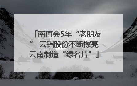 南博会5年“老朋友” 云铝股份不断擦亮云南制造“绿名片”