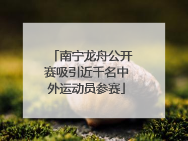 南宁龙舟公开赛吸引近千名中外运动员参赛