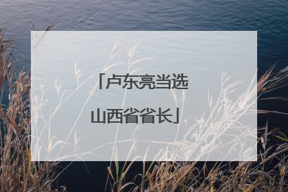 卢东亮当选山西省省长