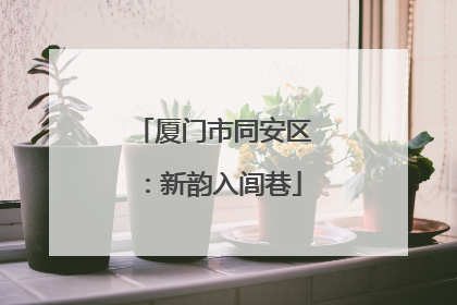 厦门市同安区：新韵入闾巷