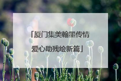 厦门集美翰墨传情 爱心助残绘新篇