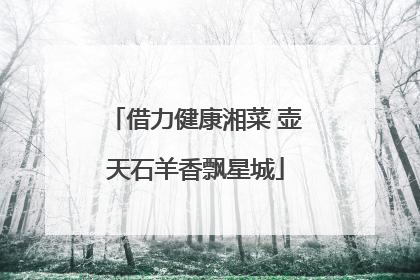 借力健康湘菜 壶天石羊香飘星城