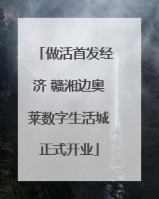 做活首发经济 赣湘边奥莱数字生活城正式开业